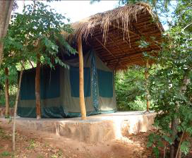 The Bedded Tent